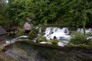 Aktivizam i vladavina prava u Bosni - 2016