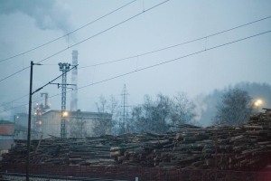 Foto: Martin Ploček